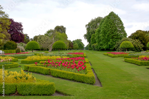 big garden in spring  red tulip flowers and trees