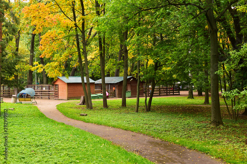 Zoo in a leisure park with a nearby playground. Green grass and partially yellowing leaves of trees harmoniously harmonize with their color scheme.