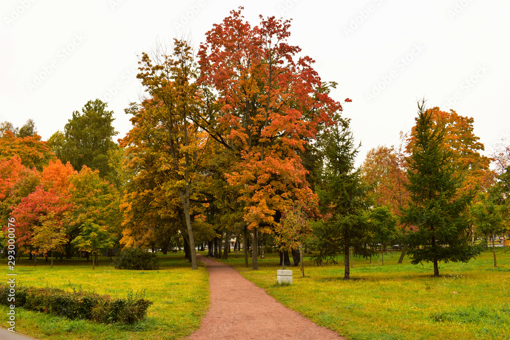Yellow-green trees show their beauty of the autumn period. A diverse palette of colors is demonstrated by the autumn season.