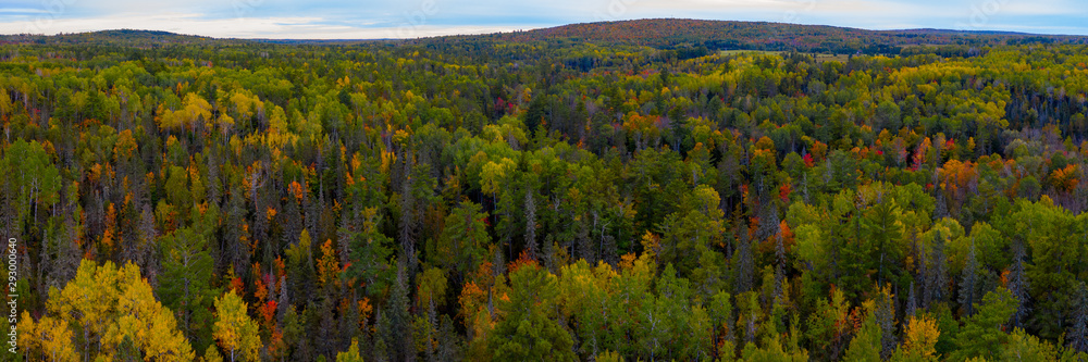 North Woods in the Fall