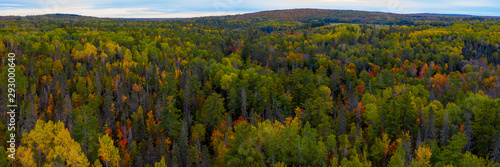 North Woods in the Fall
