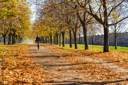 Lonely young woman walking in a city park on autumn