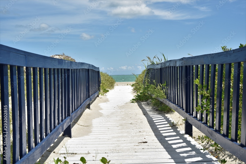 White and blue wooden beach walkway over young mangroves with the sea in the background.