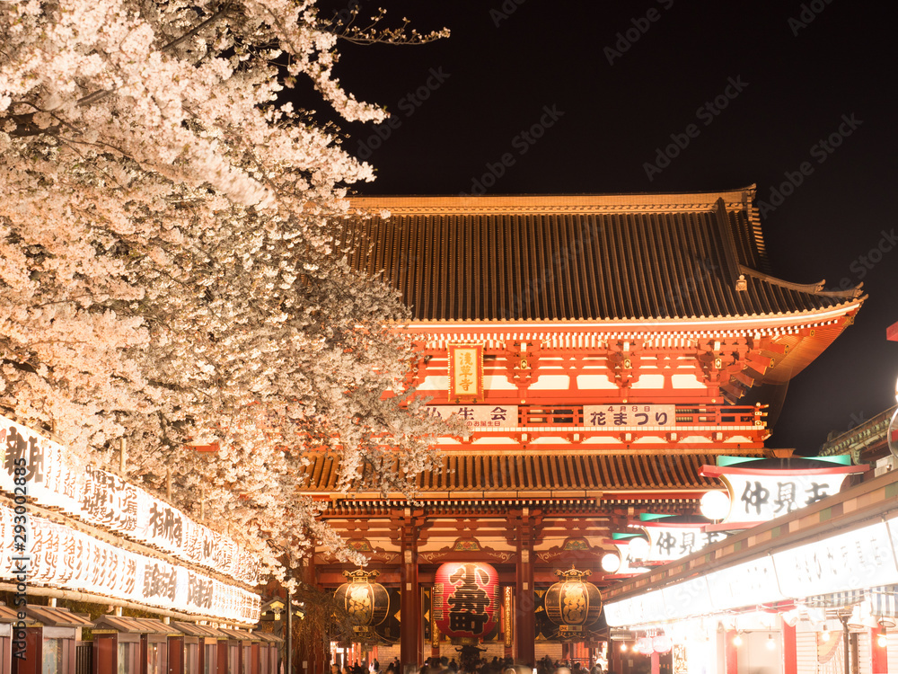 浅草寺と夜桜