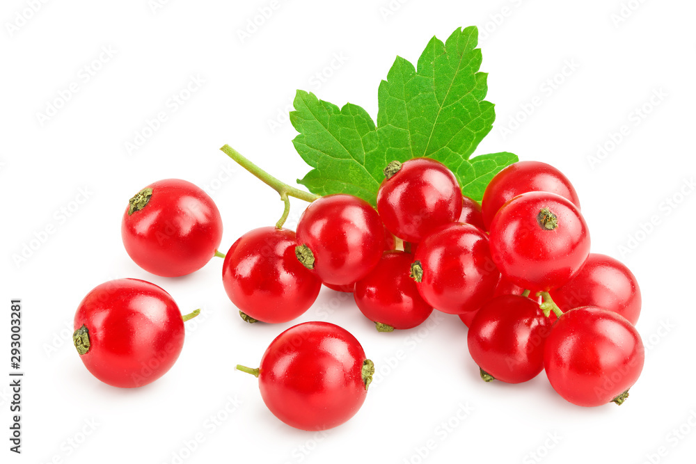 Red currant berries with leaf isolated on white background Red currant berries with leaf isolated on white background