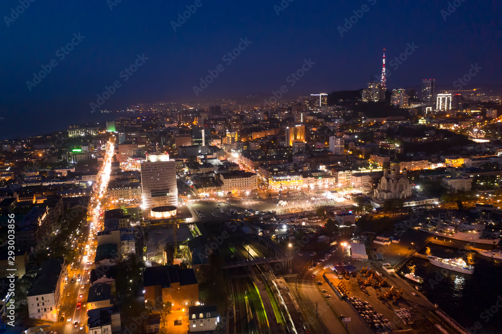 Aerial view of the night cityscape