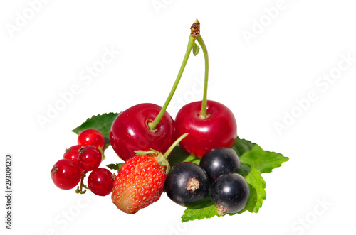 Berries on a green currant leaf. Black and red currants, strawberries.