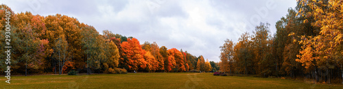 Warm autumn panorama of the lowland in the Park with yellowed and reddened trees stretching into the distance to the horizon with a blue sky covered with clouds, Indian summer in the forest, field