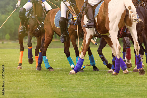 Riders on horses at the moment of the beginning of the game of horse polo. Ball injection. Lots of horse legs in protective bints. Hammers in the hands of players © Naletova