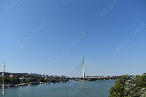 bridge over the river