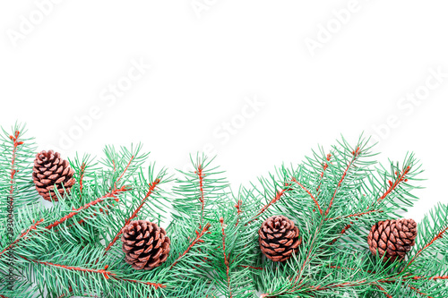 Beautiful creative designer greeting card template from green bright fluffy Christmas tree branches with cones isolated on white background