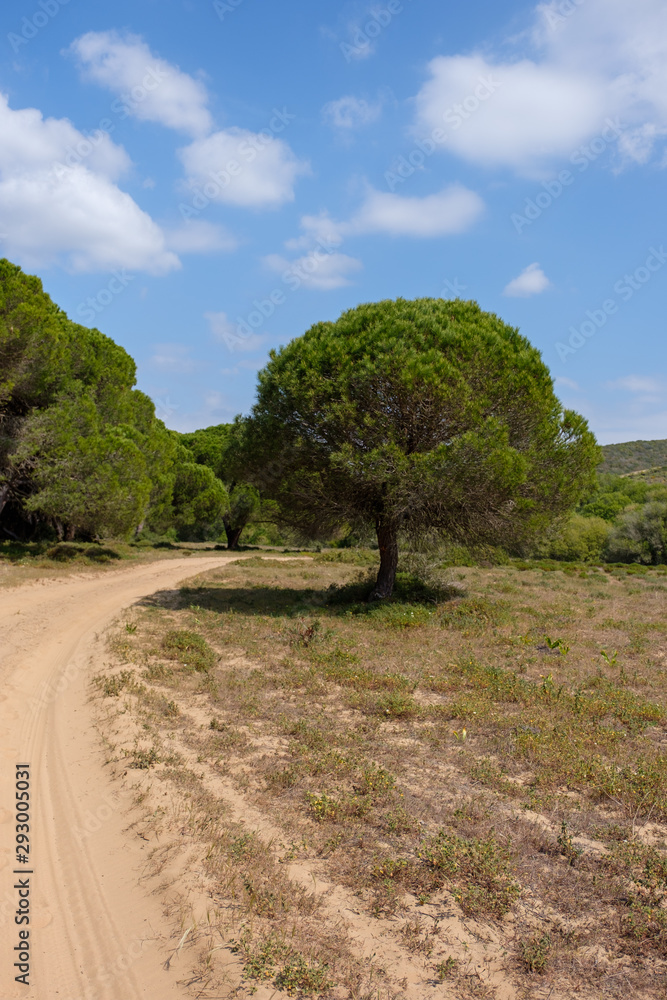 Landschaftan der „Rota Vicentina“ (Historischer Weg, Fischerweg) im Süden von Portugal Landschaftan der „Rota Vicentina“ (Historischer Weg, Fischerweg) im Süden von Portugal