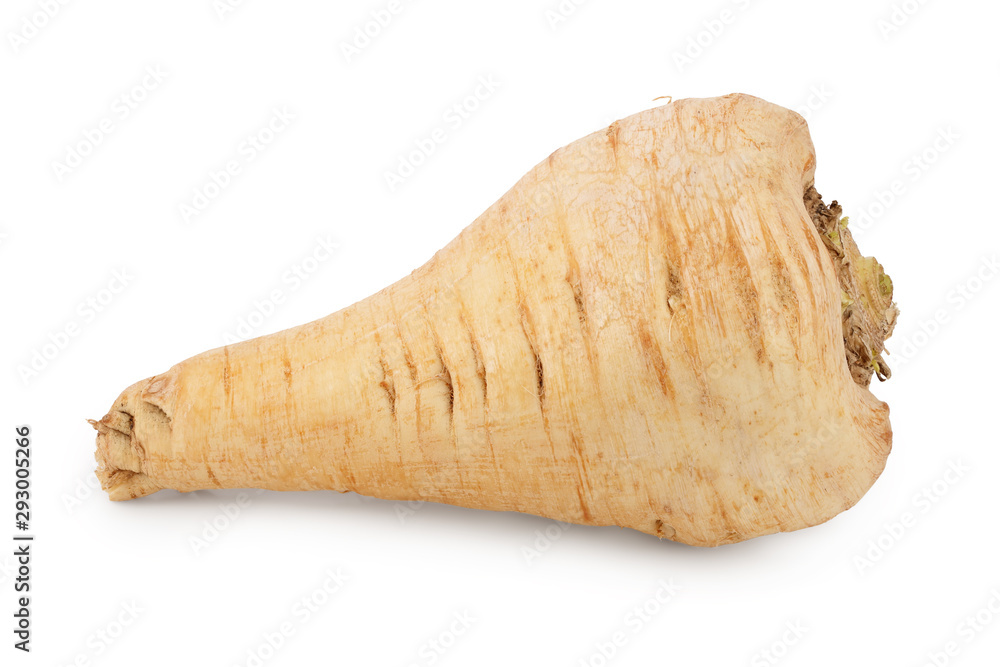 Parsnip root isolated on white background closeup Parsnip root isolated on white background closeup