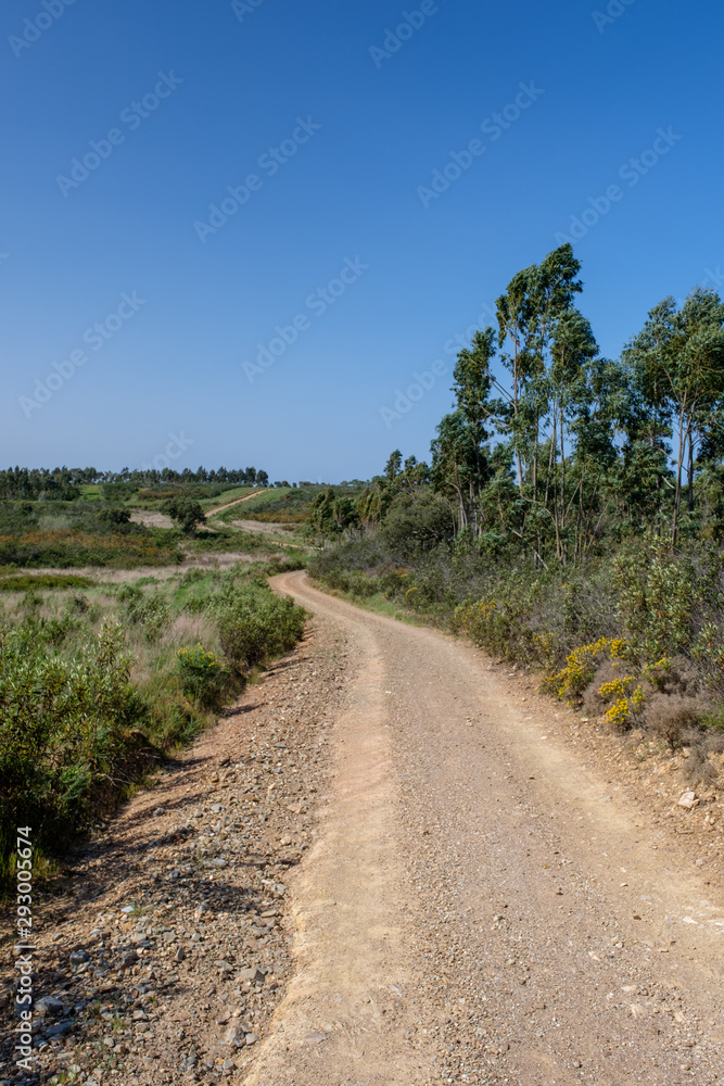 Bäume, Pflanzen und Tiere am Fernwanderweg „Rota Vicentina“ (Historischer Weg, Fischerweg) im Süden von Portugal 