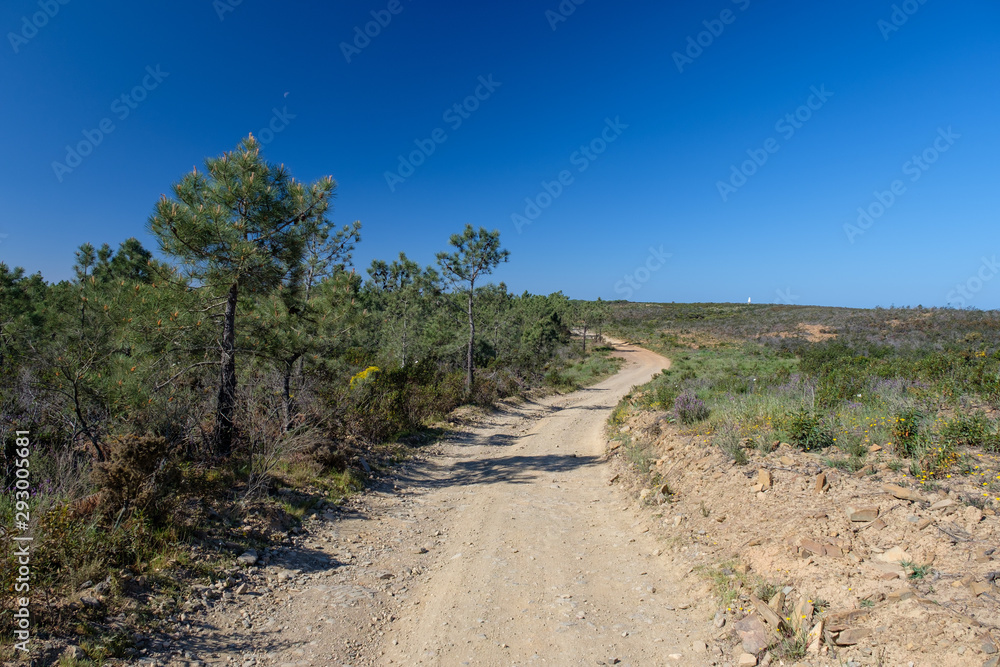 Bäume, Pflanzen und Tiere am Fernwanderweg „Rota Vicentina“ (Historischer Weg, Fischerweg) im Süden von Portugal 