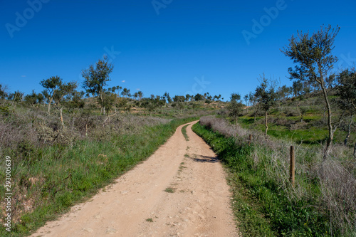 Bäume, Pflanzen und Tiere am Fernwanderweg „Rota Vicentina“ (Historischer Weg, Fischerweg) im Süden von Portugal 