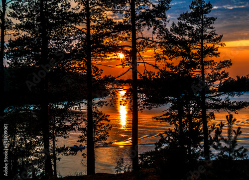 Sunset on the lake. View of the sunset through the trees.