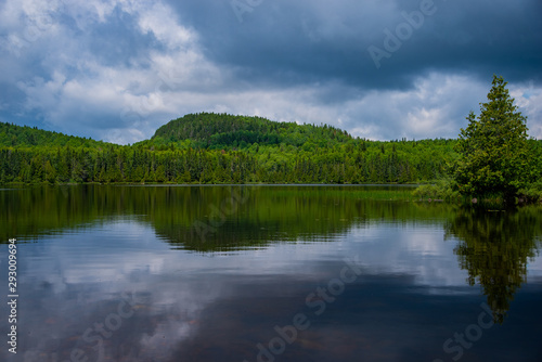 Fototapeta Naklejka Na Ścianę i Meble -  Reflections at the lake