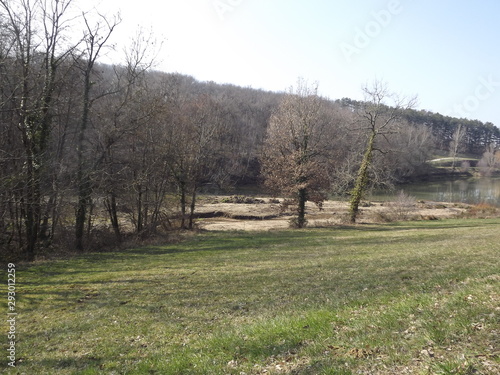 Lac Nabeillou - Clairière