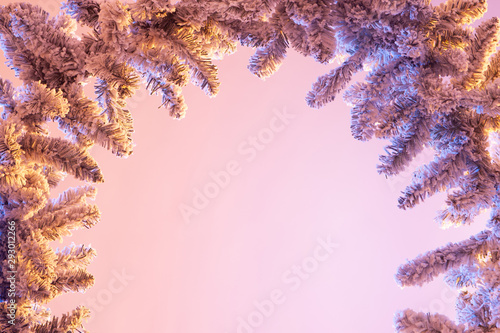 Christmas background. Desig...