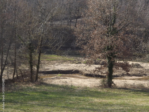 Lac Nabeillou - Clairière 2