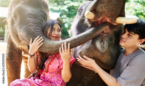 Photography thai tourist couple interacting with two elephants at sanctuary