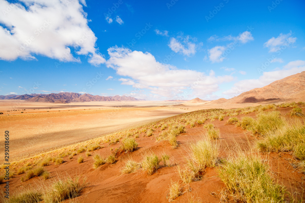 Namib desert landscape Namib desert landscape