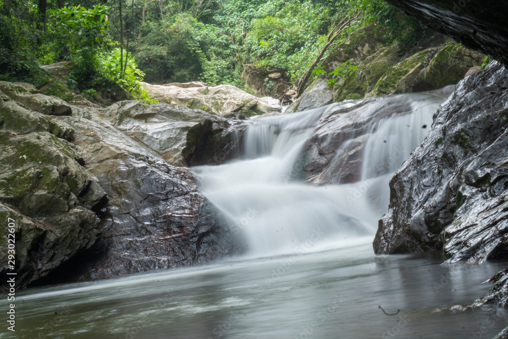Fototapeta premium waterfall in forest