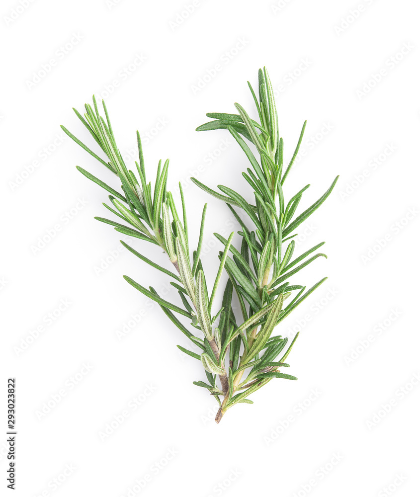 Rosemary isolated on white background, Top view. Rosemary isolated on white background, Top view.