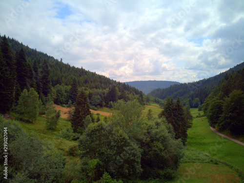 Bewachsenes Tal im Schwarzwald