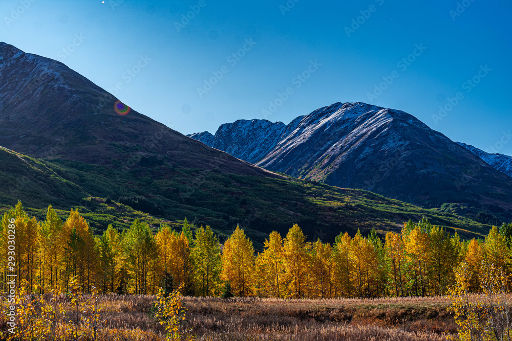 autumn in mountains