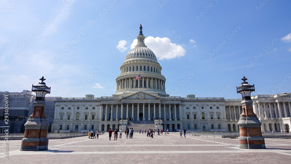 Fototapeta premium Capitol Building in Washington DC, USA