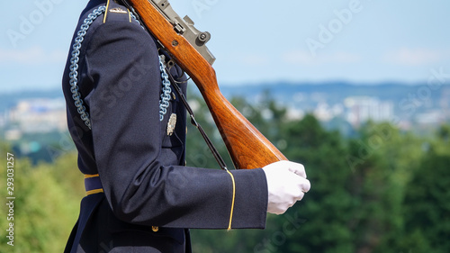 Canvas Print Close up view of a soldier during the Changing of Guard at Tomb of the Unknowns,
