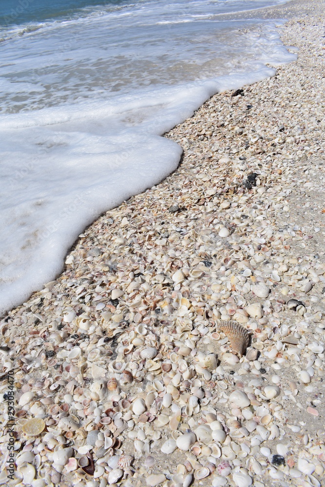 Ocean wave on the sea shell beach