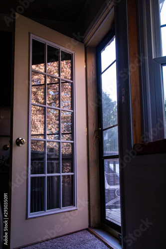 Crabapple Blossoms Are Reflected in the Panes of an Open Door