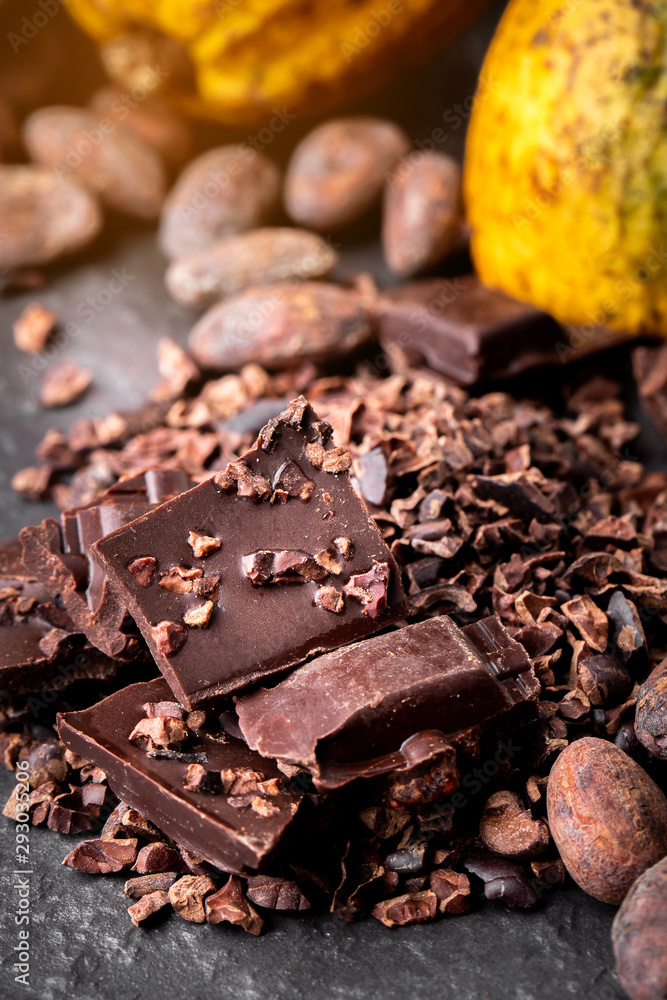 Dark chocolate pieces crushed and cocoa beans, top view Dark chocolate pieces crushed and cocoa beans, top view
