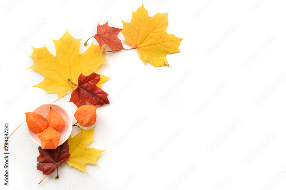 Autumn composition of frame of maple leaves and physalis. Flat lay, top view