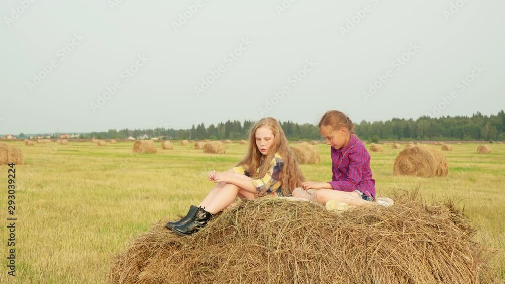 Cute girls sitting on haystack. Vertical motion of two adorable girls in checkered shirts sitting on haystack and talking in field during harvest. Cute girls sitting on haystack. Vertical motion of two adorable girls in checkered shirts sitting on haystack and talking in field during harvest.