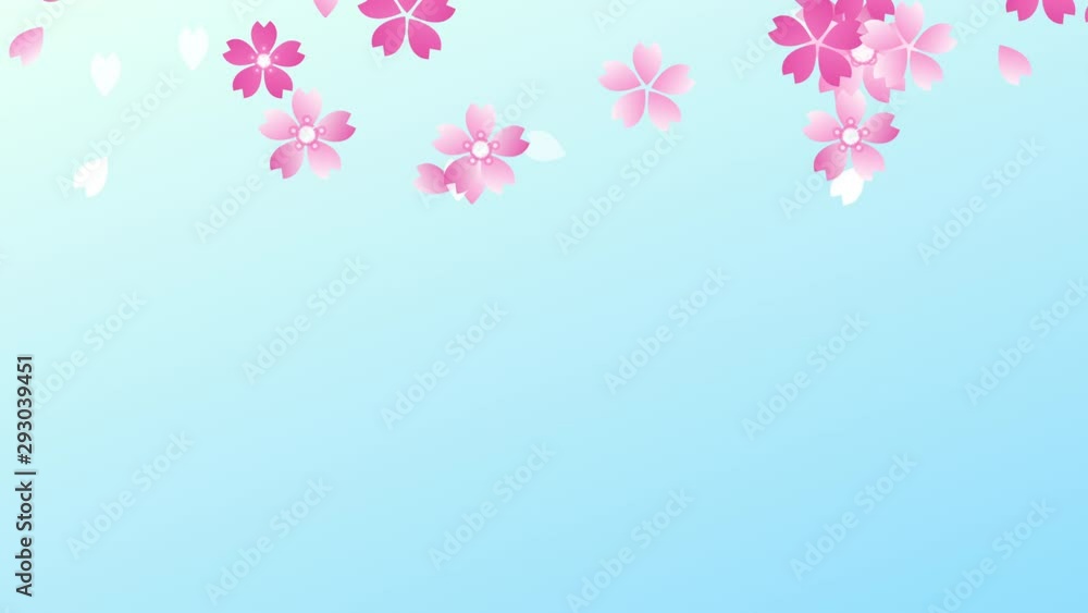 落ちてくる桜の花びら 落ちてくる桜の花びら