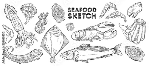 Seafood sketch set. Hand drawing cuisine. All elements are isolated in white background.