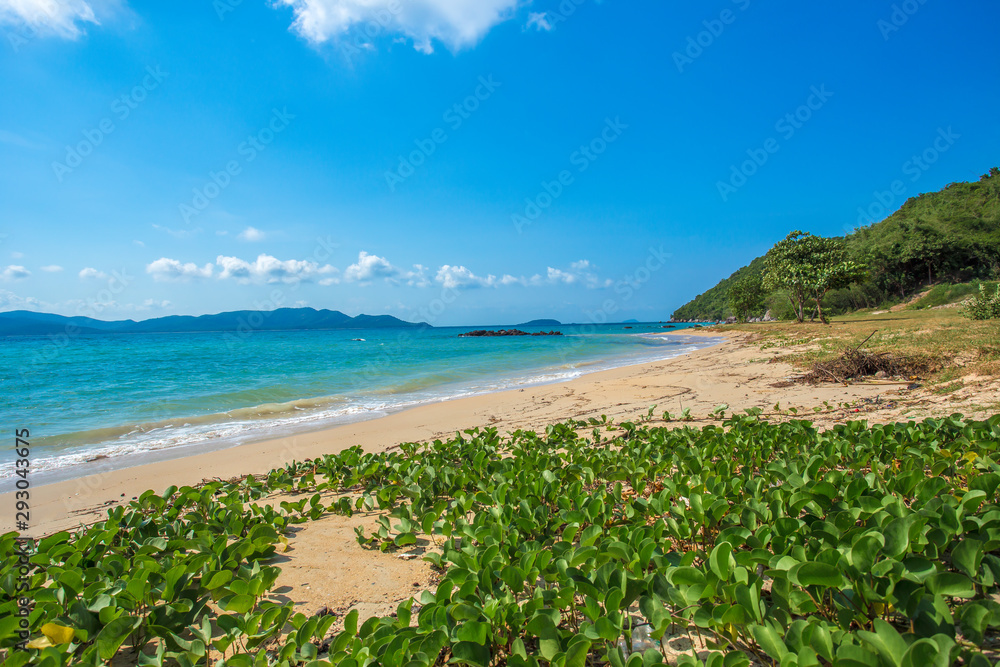 Vacations, Backgrounds, Bay of Water, Beach, Beauty In Nature