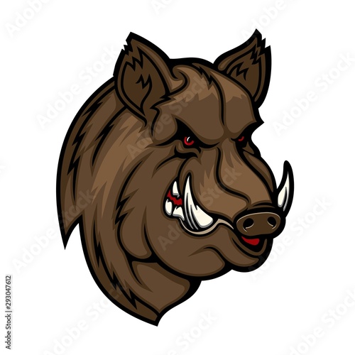 Angry boar head mascot. Wild pig or hog icon