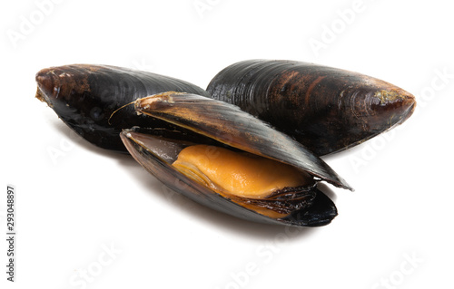 mussels isolated photo