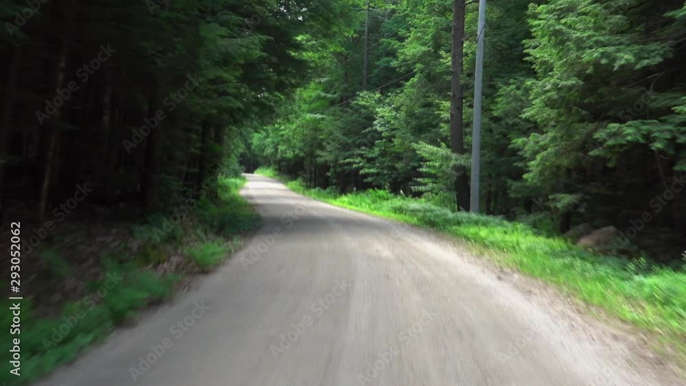 Driving on a paved road in the forest. Driving on a paved road in the forest.