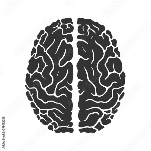 Human brain icon isolated on white background. Vector illustration
