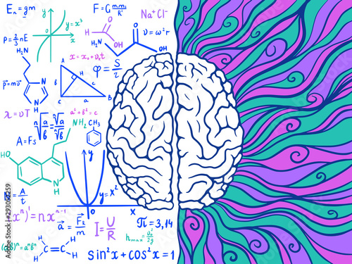 The concept of the human brain is the left and right hemisphere. Analytics and creativity. Vector illustration