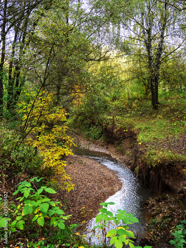 Autumn, cliff, stream, colorful trees. © Александр Шуршиков