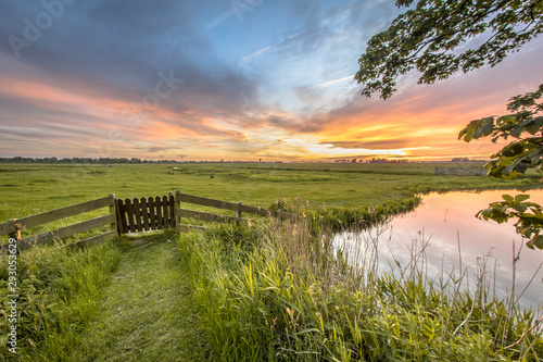 View from backyard of dairy farm