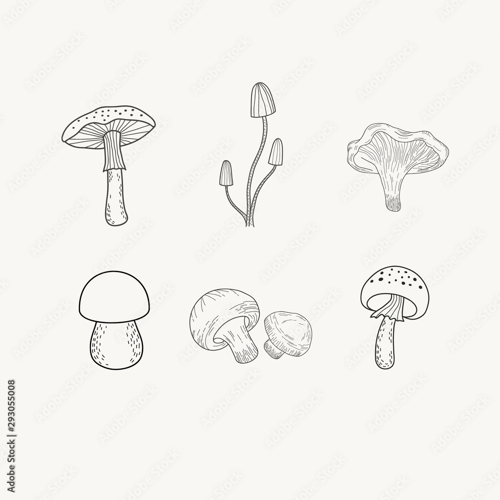 Set of mushrooms. Vector illustration of mushrooms in doodle style. Black and white engraving. Amanita, champignons Set of mushrooms. Vector illustration of mushrooms in doodle style. Black and white engraving. Amanita, champignons