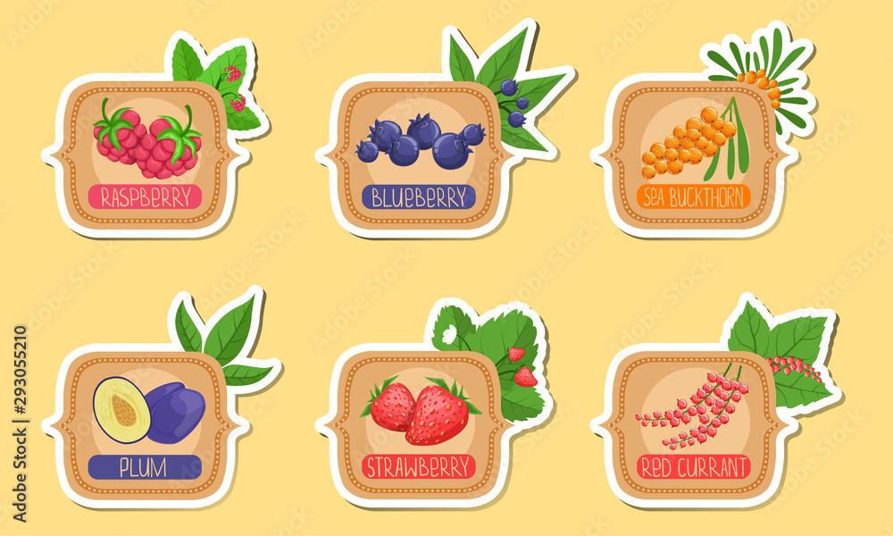 Homemade Jam Labels Set, Raspberry, Blueberry, Sea Buckthorn, Plum, Strawberry, Red Currant Stickers Vector Illustration
